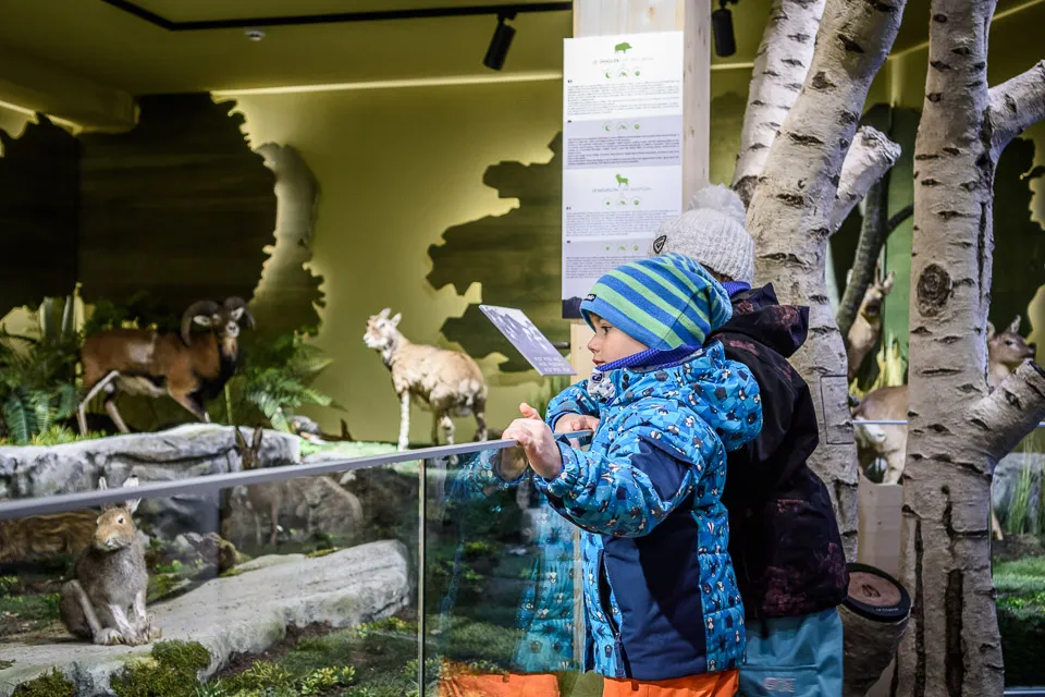 Museum of Mountain Animals