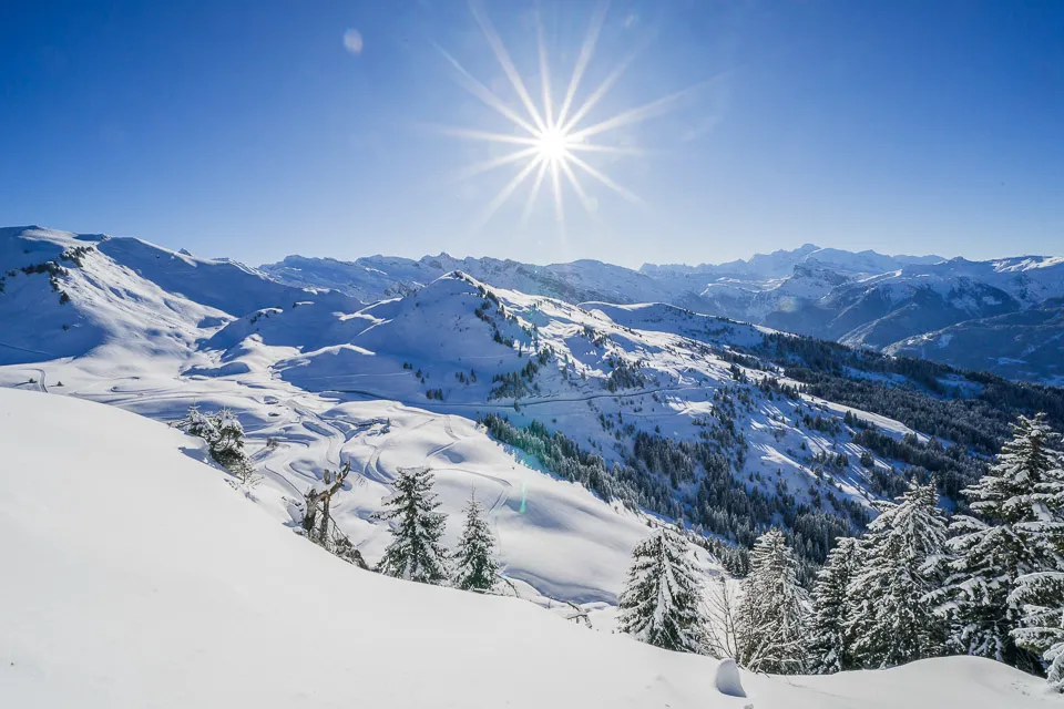 Fresh powder in Les Gets